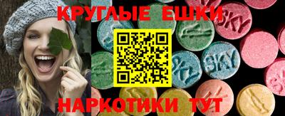 apvp Краснодар