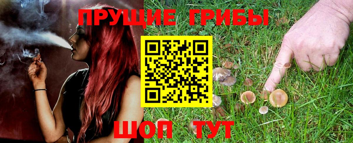 Елизово  Псилоцибиновые грибы Magic Shrooms  Вход с VPN  Псилоцибиновые грибы Cubensis 