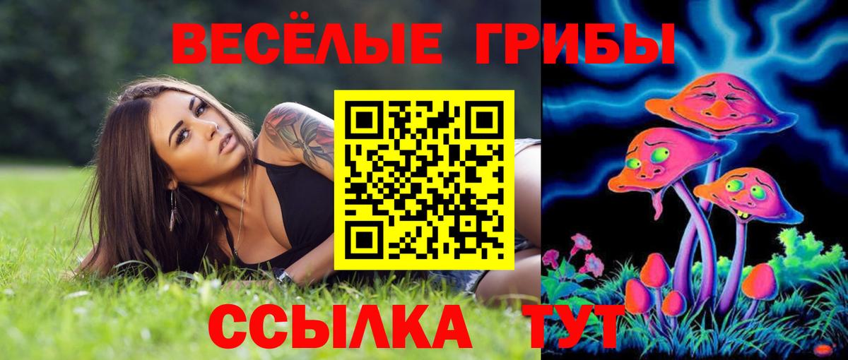 Псилоцибиновые грибы Magic Shrooms Елизово